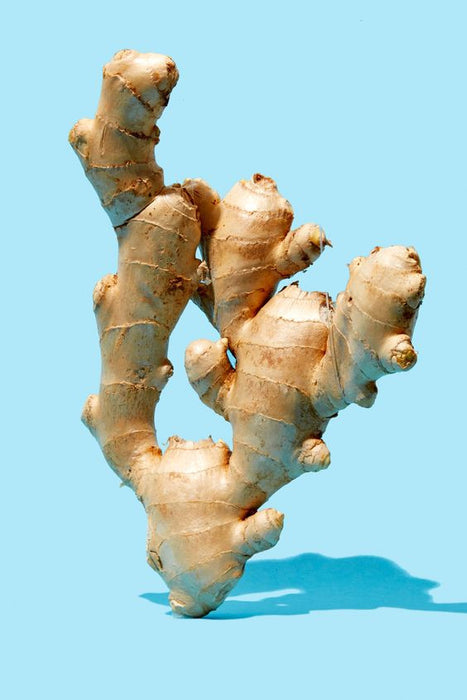 Fresh ginger makes fresh chai extra fresh!